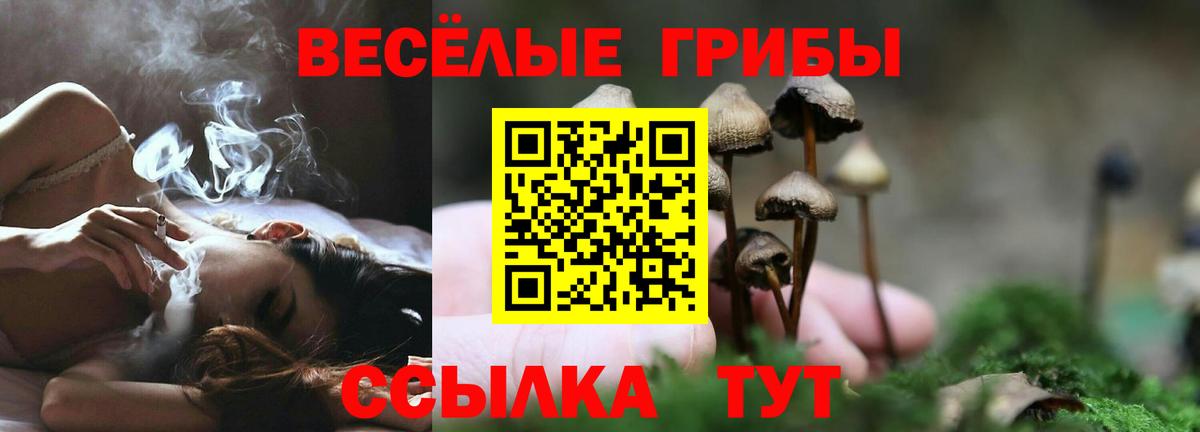Костомукша  Галлюциногенные грибы MAGIC MUSHROOMS  хочу наркоту  Вход с VPN  Псилоцибиновые грибы Psilocybe 